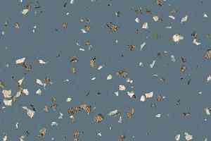Линолеум Gerflor Taralay Premium Poesy 88626 Rime фото  | FLOORDEALER